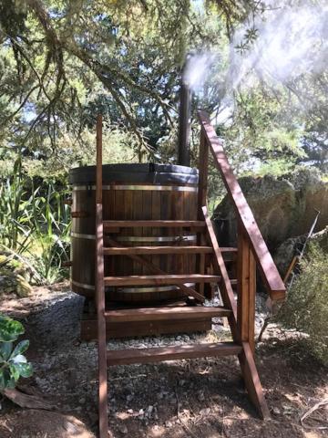 The Cottage Wai Rua Ruatangata West المظهر الخارجي الصورة